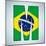 Brazil Flag Brazilian Alphabet Letters Words-gubh83-Mounted Art Print