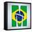 Brazil Flag Brazilian Alphabet Letters Words-gubh83-Framed Stretched Canvas