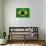 Brazil Flag Design with Wood Patterning - Flags of the World Series-Philippe Hugonnard-Mounted Art Print displayed on a wall