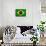 Brazil Flag Design with Wood Patterning - Flags of the World Series-Philippe Hugonnard-Mounted Art Print displayed on a wall