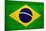 Brazil Flag Design with Wood Patterning - Flags of the World Series-Philippe Hugonnard-Mounted Art Print