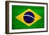 Brazil Flag Design with Wood Patterning - Flags of the World Series-Philippe Hugonnard-Framed Premium Giclee Print