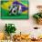 Brazil Flag Football-3dfoto-Framed Stretched Canvas displayed on a wall