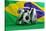 Brazil Flag Football-3dfoto-Stretched Canvas
