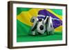 Brazil Flag Football-3dfoto-Framed Premium Giclee Print