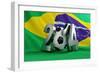 Brazil Flag Football-3dfoto-Framed Premium Giclee Print