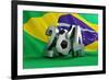 Brazil Flag Football-3dfoto-Framed Art Print