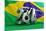Brazil Flag Football-3dfoto-Mounted Art Print