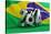 Brazil Flag Football-3dfoto-Stretched Canvas