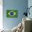 Brazil Flag-Sarah Nicholl-Photographic Print displayed on a wall