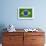 Brazil Flag-Sarah Nicholl-Framed Photographic Print displayed on a wall