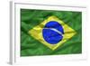 Brazil Flag-Sarah Nicholl-Framed Photographic Print