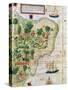 Brazil from the "Miller Atlas" by Pedro Reinel, circa 1519-null-Stretched Canvas