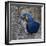 Brazil. Hyacinth macaw in the Pantanal.-Ralph H. Bendjebar-Framed Photographic Print