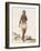 Brazil, Indian Woman from Orinoco-null-Framed Giclee Print