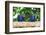 Brazil, Mato Grosso, the Pantanal, Hyacinth Macaw on a Branch-Ellen Goff-Framed Photographic Print