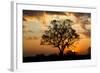 Brazil, Mato Grosso, the Pantanal. Pink Ipe Tree at Sunset-Ellen Goff-Framed Photographic Print