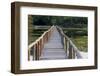 Brazil, Mato Grosso, the Pantanal, Porto Jofre. Bridge over the Giant Lily Pads-Ellen Goff-Framed Photographic Print