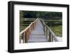 Brazil, Mato Grosso, the Pantanal, Porto Jofre. Bridge over the Giant Lily Pads-Ellen Goff-Framed Photographic Print