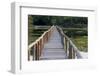 Brazil, Mato Grosso, the Pantanal, Porto Jofre. Bridge over the Giant Lily Pads-Ellen Goff-Framed Photographic Print