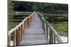 Brazil, Mato Grosso, the Pantanal, Porto Jofre. Bridge over the Giant Lily Pads-Ellen Goff-Mounted Photographic Print