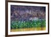 Brazil, Mato Grosso, the Pantanal Rio Cuiaba, Jaguar Among Water Hyacinth-Ellen Goff-Framed Photographic Print