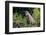 Brazil, Mato Grosso, the Pantanal, Rio Cuiaba. Jaguar on the Bank of the Cuiaba River-Ellen Goff-Framed Photographic Print