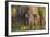 Brazil, Mato Grosso, the Pantanal, Rio Negro. Thick Vines Along the Rio Negro-Ellen Goff-Framed Photographic Print