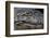 Brazil, Mato Grosso, the Pantanal, the Transpantaneira Highway, Black Caiman Eye and Mouth Detail-Ellen Goff-Framed Photographic Print