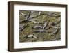 Brazil, Mato Grosso, the Pantanal, the Transpantaneira Highway-Ellen Goff-Framed Photographic Print