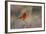 Brazil, Mato Grosso, the Pantanal. Vermillion Flycatcher Portrait-Ellen Goff-Framed Photographic Print