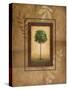 Brazil Nut Tree-Michael Marcon-Stretched Canvas