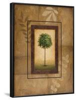 Brazil Nut Tree-Michael Marcon-Framed Art Print