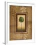 Brazil Nut Tree-Michael Marcon-Framed Art Print