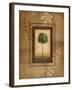 Brazil Nut Tree-Michael Marcon-Framed Art Print