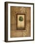 Brazil Nut Tree-Michael Marcon-Framed Art Print