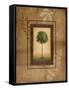 Brazil Nut Tree-Michael Marcon-Framed Stretched Canvas