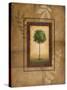 Brazil Nut Tree-Michael Marcon-Stretched Canvas