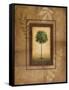 Brazil Nut Tree-Michael Marcon-Framed Stretched Canvas