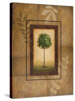 Brazil Nut Tree-Michael Marcon-Stretched Canvas