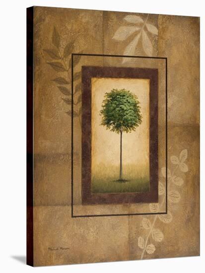 Brazil Nut Tree-Michael Marcon-Stretched Canvas