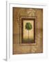 Brazil Nut Tree-Michael Marcon-Framed Art Print