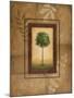 Brazil Nut Tree-Michael Marcon-Mounted Art Print