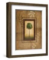 Brazil Nut Tree-Michael Marcon-Framed Art Print