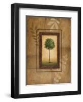 Brazil Nut Tree-Michael Marcon-Framed Art Print