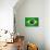 Brazil Painted Flag-jordygraph-Art Print displayed on a wall