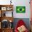 Brazil Painted Flag-jordygraph-Mounted Art Print displayed on a wall