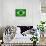 Brazil Painted Flag-jordygraph-Art Print displayed on a wall