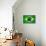 Brazil Painted Flag-jordygraph-Stretched Canvas displayed on a wall