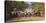 Brazil. Panateros, Brazilian cowboys drive cattle along the Rodovia Transpanateira.-Ralph H. Bendjebar-Stretched Canvas